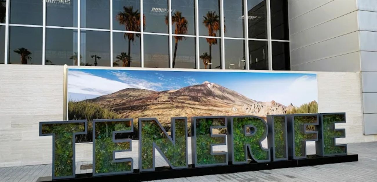Tenerife South Airport